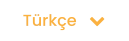 Türkçe   