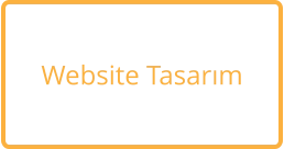 Website Tasarım