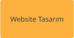 Website Tasarım